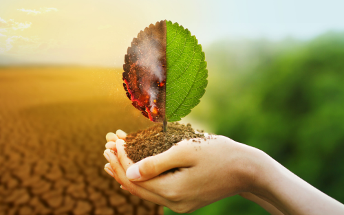 The Impact of Climate Change on Business Operations